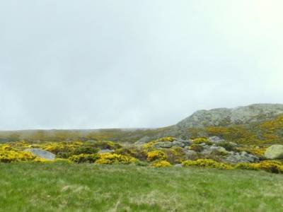 Morezón - Sierra de Gredos; jerte cerezos en flor viajes de trekking excursiones alrededores de madr